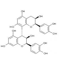 Procyanidin B-2