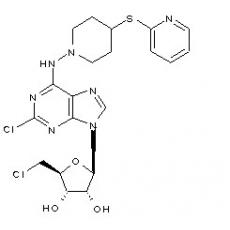 NNC-21-0300