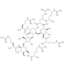 Neomycin B-arginine conjugate, Neomycin B-hexaarginine conjugate, NeoR6, NeoR