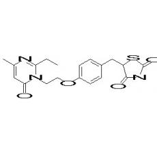 PMT-13