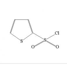 2-噻吩磺酰氯