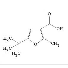 5-叔-丁基-2-甲基呋喃-3-羧酸