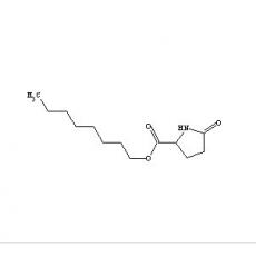 S)-2-吡咯烷酮-5-羧酸正辛酯