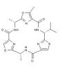 Dendroamide A