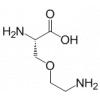 Oxalysine-L, L-4-Oxalysine, I-677