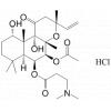 Colforsin daropate hydrochloride, Colforsin dapropate hydrochloride, Colforsin daproate hydrochloride, NKH-477, Adehl