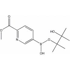 2-(Methylcarboxy)pyridine-5-boronic acid
