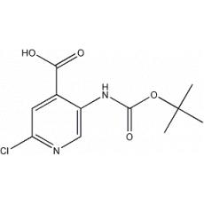 5-Boc-氨基-2-氯吡啶-4-甲酸