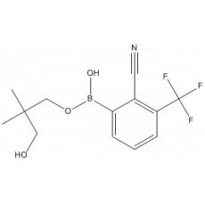 2 -氰基- 3 -（三氟甲基）苯硼酸新戊二醇酯