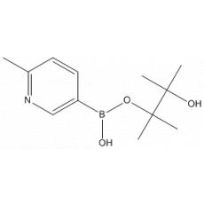 2-׻-5-ƵǴ