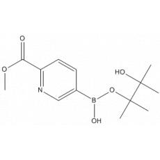 2-(Methylcarboxy)pyridine-5-boronic acid pinacol ester