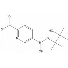 2-(Methylcarboxy)pyridine-5-boronic acid pinacol ester