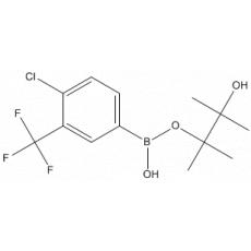 4-Chloro-3-(trifluoromethyl)phenylboronic acid pinacol ester