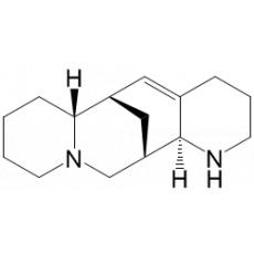 苦豆碱