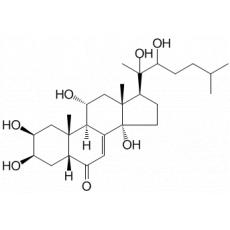 筋骨草甾酮 C