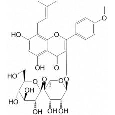 ޽ VII