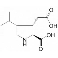 α-别海人草酸