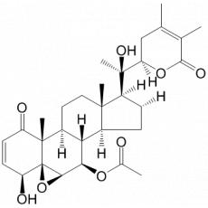 7- D