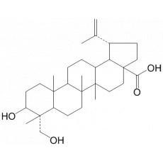 23-ǻ