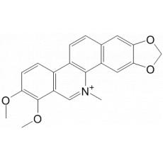 白屈菜红碱
