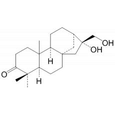 大叶紫珠萜酮