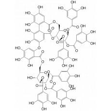 梾木鞣质 G