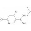 2,4-Dichloropyridine-5-boronic acid hydrate