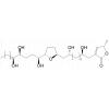 Annopentocin B