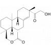 ent-18--16-ǻ-814--15-ͪ