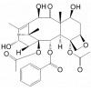 1-乙酰基-10-去乙酰浆果赤霉素