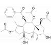 13-乙酰基短叶老鹤草素