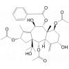 13-Acetyl-9-deacetyl-9-benzoyl-10-debenzoyl-taxchinin A