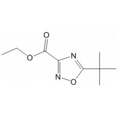5-叔丁基-1,2,4-噁二唑-3-羧酸乙酯