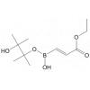 2-(Ethoxycarbonyl)vinylboronic acid pinacol ester