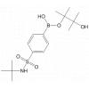 4-(tert-Butylamino)sulfonylphenylboronic acid pinacol ester