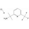 2-（6-（三氟甲基）-2-吡啶基）-2 -氨基丙烷盐酸盐