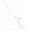 Ganciclovir elaidic acid