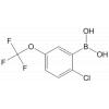 2-Chloro-5-(trifluoromethoxy)phenylboronic acid