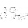 5-(Morpholine-4-carbonyl)pyridin-3-ylboronic acid pinacol ester
