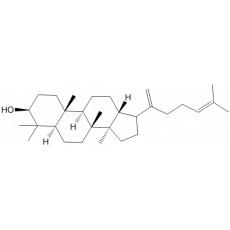 20,24-达玛二烯-3β-醇