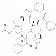 7-Deacetyl-7-benzoyltaxchini I