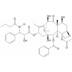 N-去苯甲酰基-N-丁酮-10-去酰紫杉醇