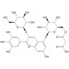 翠雀色素3-0-（β-D-吡喃葡萄糖)-5-0-(6-0-丙二酰基-(β-D-吡喃葡萄糖苷)