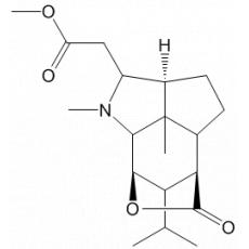 ʯ