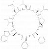 Cyclolinopeptide G