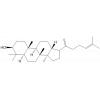20,24-达玛二烯-3β-醇