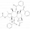 7-Deacetyl-7-benzoyltaxchini I