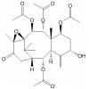 11,12-环氧去桂皮酰基紫杉素B