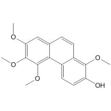 鼓槌菲