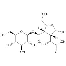 去乙酰基车叶草苷酸